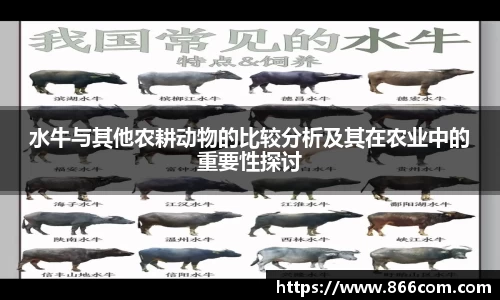 DG视讯官方网站